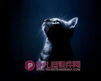 小班语言活动课件PPT《咪咪猫》PPT课件图片