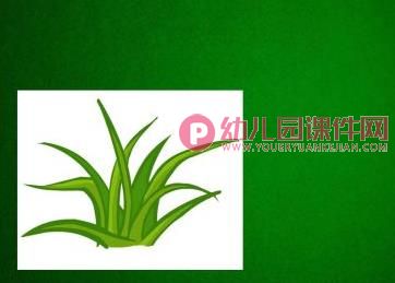 小班语言课件课件PPT《彩色的梦》PPT课件图片