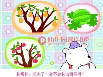 小班语言(散文欣赏)课件PPT《熊宝宝的小芽芽》PPT课件图片