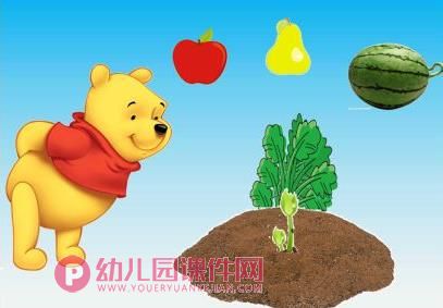 小班语言课件PPT《熊宝宝的小芽芽》PPT课件图片