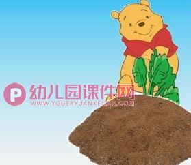 小班语言课件PPT《熊宝宝的小芽芽》PPT课件图片