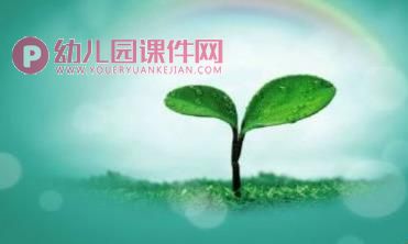 小班语言课件PPT《两片树叶》PPT课件配音图片