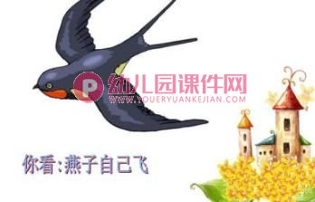 小班儿歌课件PPT《妈妈快放手》PPT课件图片