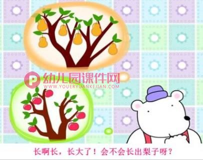 熊宝宝的小芽芽PPT课件图片
