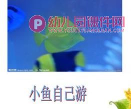 小班儿歌课件PPT《妈妈快放手》PPT课件图片