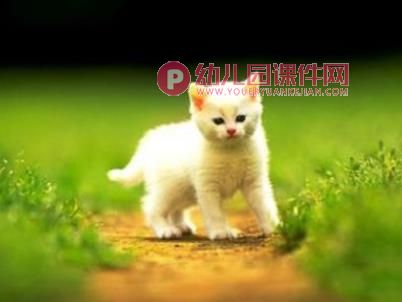 小班语言活动课件PPT《咪咪猫》PPT课件图片