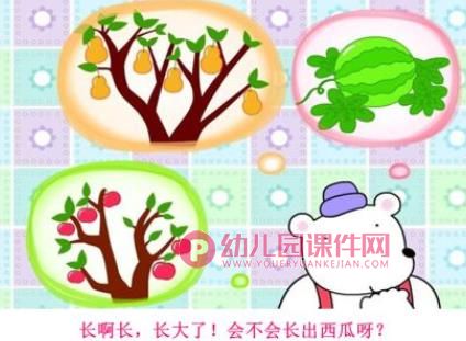 熊宝宝的小芽芽PPT课件图片