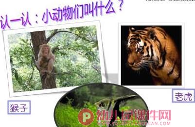 小班课件PPT《安全游玩动物园》PPT课件图片