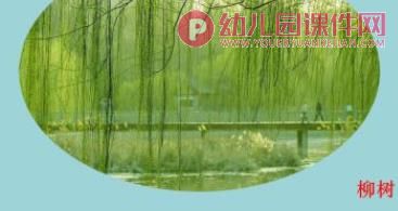 小班综合课件PPT《春天的颜色》PPT课件图片