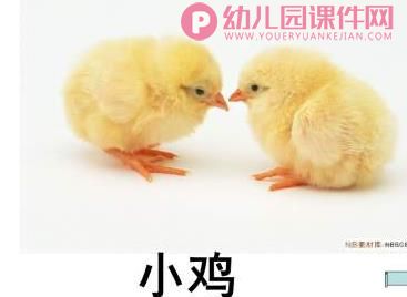小班课件PPT《认识动物》PPT课件图片