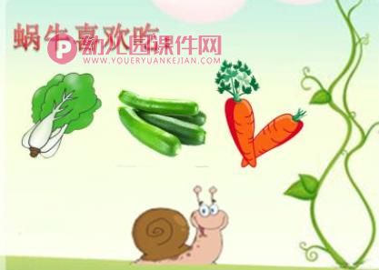 小班课件PPT《旅行的蜗牛》PPT课件图片