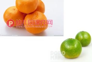 小班综合课件PPT《酸酸甜甜的桔子》PPT课件音乐图片