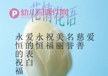 小班课件PPT《郁金香》PPT课件图片