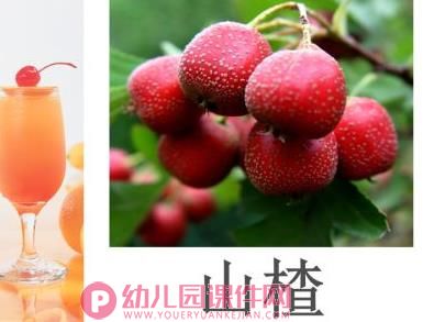 小班综合活动课件PPT《各种各样的水果》PPT课件图片