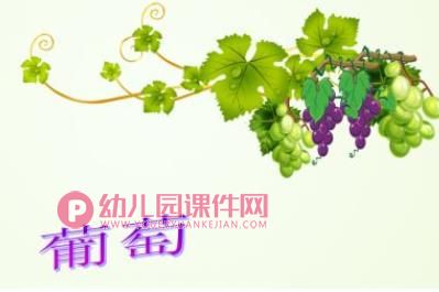 小班美术课件PPT《好吃的葡萄》PPT课件图片