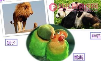小班课件PPT《安全游玩动物园》PPT课件图片