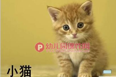 小班课件PPT《认识动物》PPT课件图片