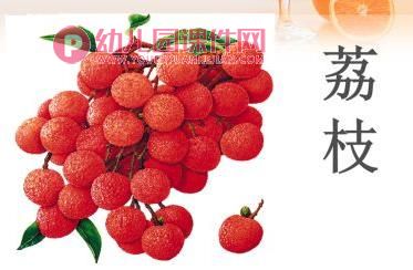 小班综合活动课件PPT《各种各样的水果》PPT课件图片