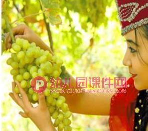 小班美术课件PPT《好吃的葡萄》PPT课件图片