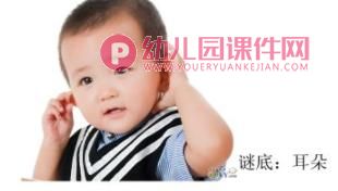 幼儿园小班我的耳朵PPT课件图片