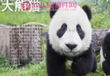小班课件PPT《认识动物》PPT课件图片