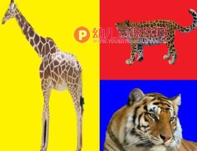 小班综合活动课件PPT《去羊村》课件PPT图片