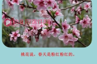 小班综合课件PPT《春天的颜色》PPT课件图片