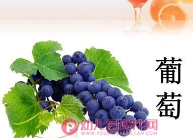 小班综合活动课件PPT《各种各样的水果》PPT课件图片