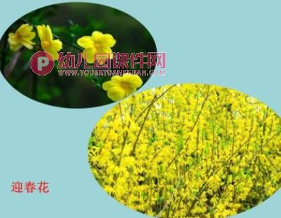 小班综合课件PPT《春天的颜色》PPT课件图片