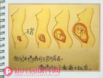 幼儿园防性侵安全教育PPT课件图片