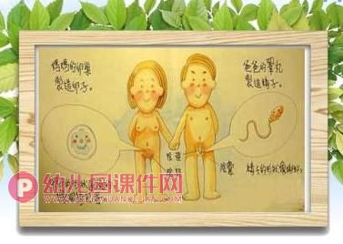 幼儿园防性侵安全教育PPT课件图片