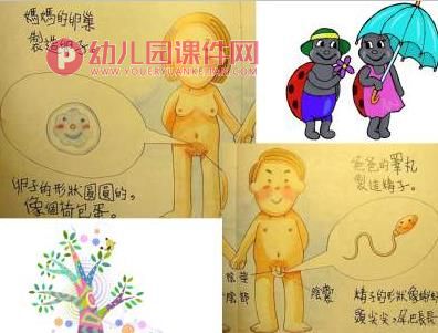 幼儿园防性侵安全教育PPT课件图片