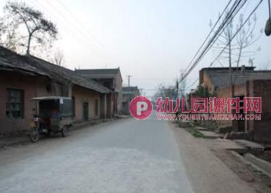 幼儿园安全常识课件PPT《我会过马路》PPT课件图片
