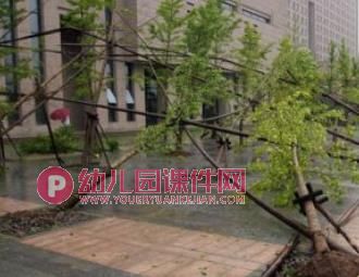幼儿园安全课件PPT《台风来了》PPT课件图片