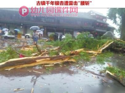 幼儿园雷雨天气安全教育PPT课件图片