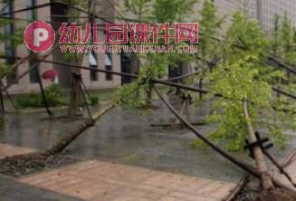 幼儿园台风安全PPT课件图片