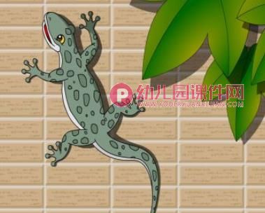 幼儿园小壁虎借尾巴PPT课件图片