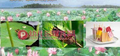 幼儿园语言故事课件PPT《快乐的夏天》PPT课件图片