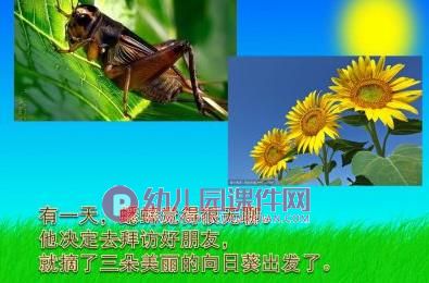幼儿园语言故事课件PPT《快乐的夏天》PPT课件图片