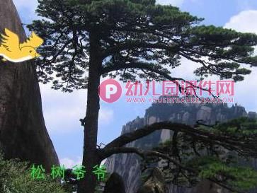 幼儿园故事课件PPT《松树爷爷的帽子》PPT课件图片
