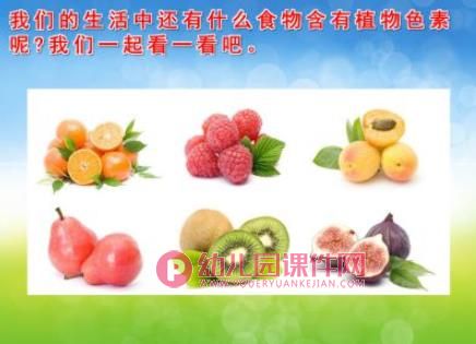 奇妙的植物色素PPT课件图片
