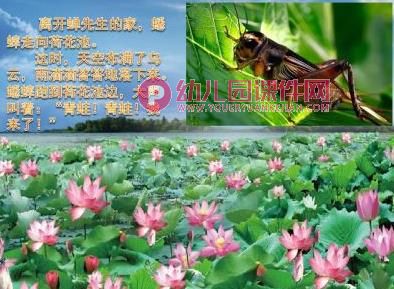 幼儿园语言故事课件PPT《快乐的夏天》PPT课件图片