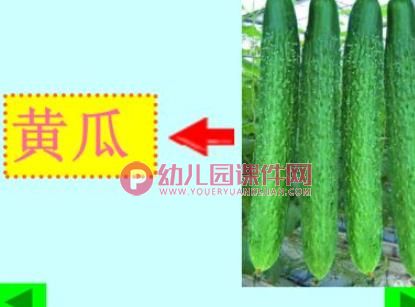 幼儿园科学认知活动课件PPT《各种各样的蔬菜》PPT课件图片
