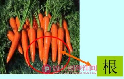 幼儿园科学认知活动课件PPT《各种各样的蔬菜》PPT课件图片