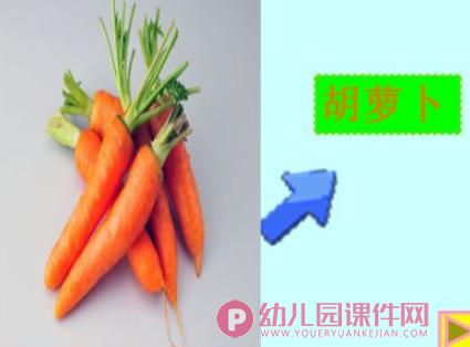 幼儿园科学认知活动课件PPT《各种各样的蔬菜》PPT课件图片