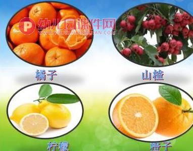 托班科学课件课件PPT《长在哪里》PPT课件图片