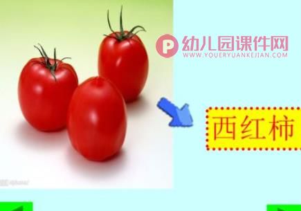 幼儿园科学认知活动课件PPT《各种各样的蔬菜》PPT课件图片