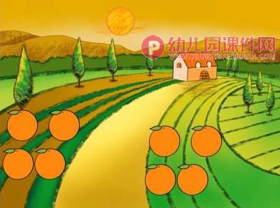 托班科学课件课件PPT《长在哪里》PPT课件图片