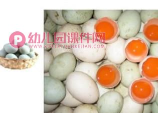 大大小小的蛋宝宝PPT课件图片