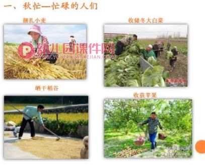幼儿园美术丰收的秋天PPT课件图片